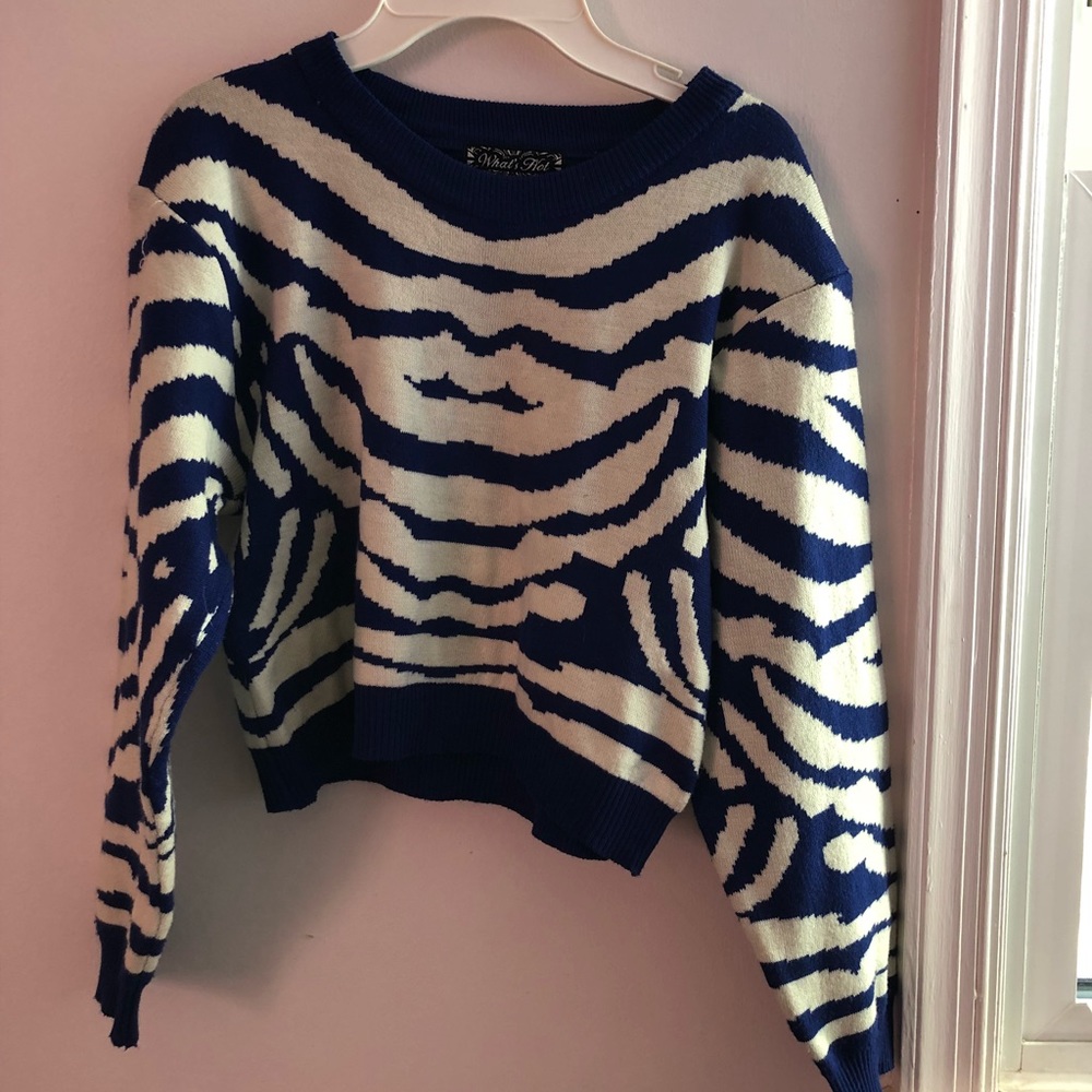 Blue and White Zebra Striped Sweater